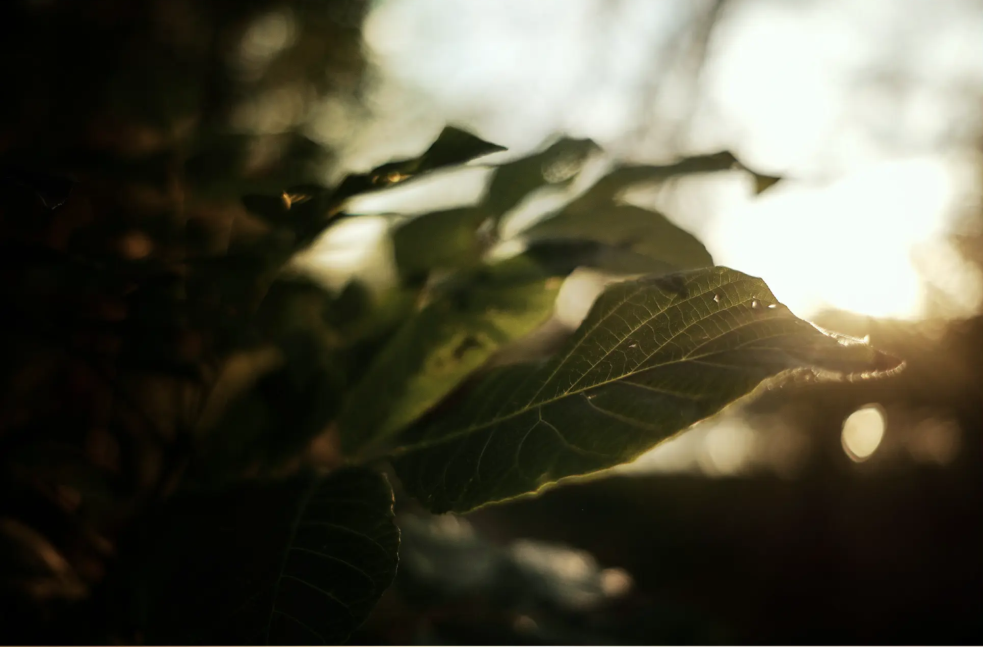 contact_banner